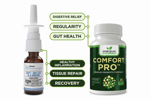 Recovery + Gut Resilience Stack